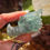 Thumbnail: Fluorite dragon head 