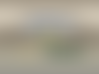 Western Zone Cup winners: Orange