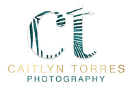 CT PALM LOGO.png