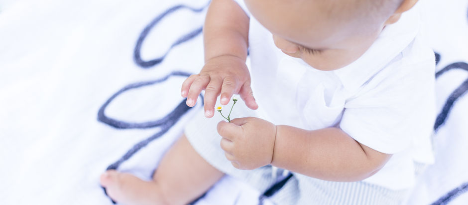 Knox Sitter Session • Fort Pierce Family Photographer