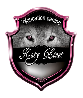 logo transparent.png