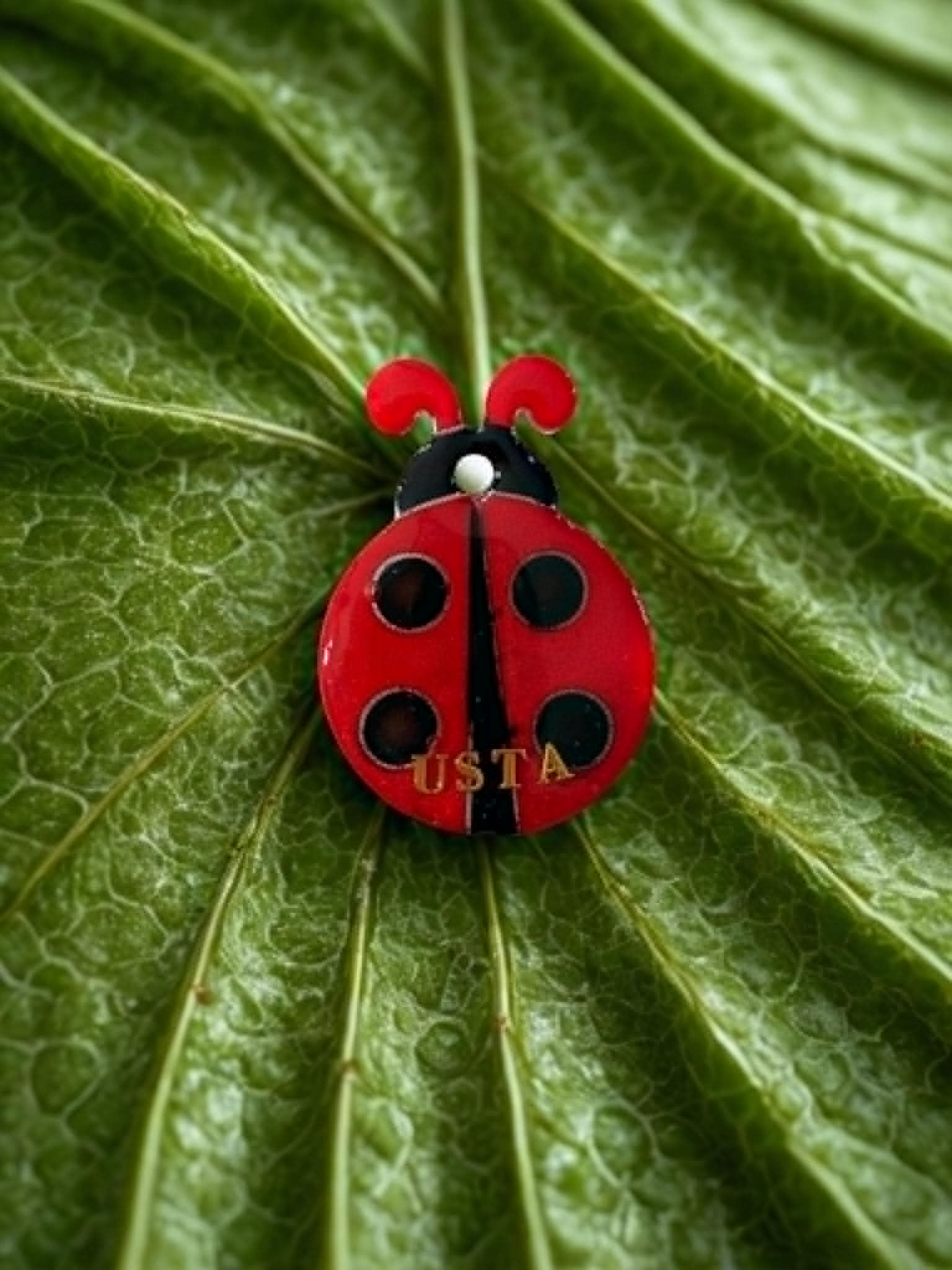Médaille Coccinelle