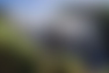 Elephant Falls Da Lat