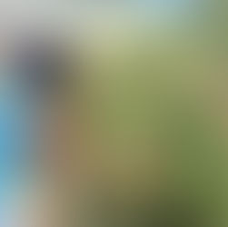 Western Sussex "Mini-Farm" Fosters Community