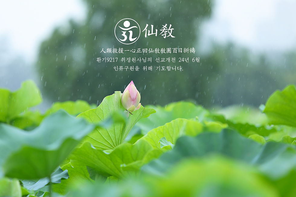 서뇩공지-6월-2020-4.jpg