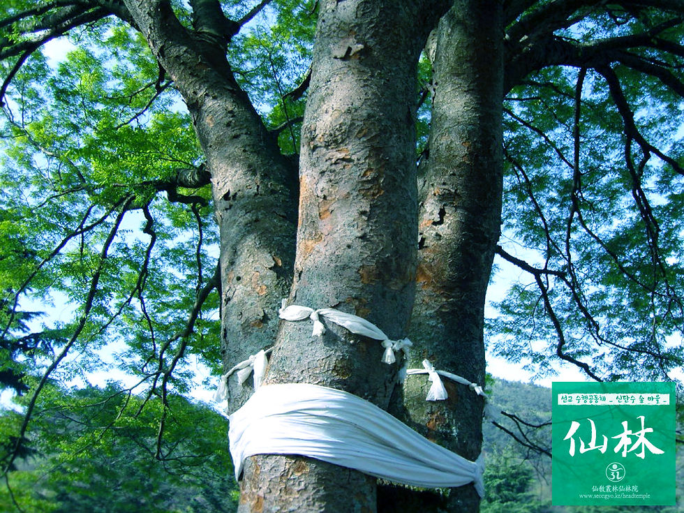 선림-신단수숲마을13-1.jpg