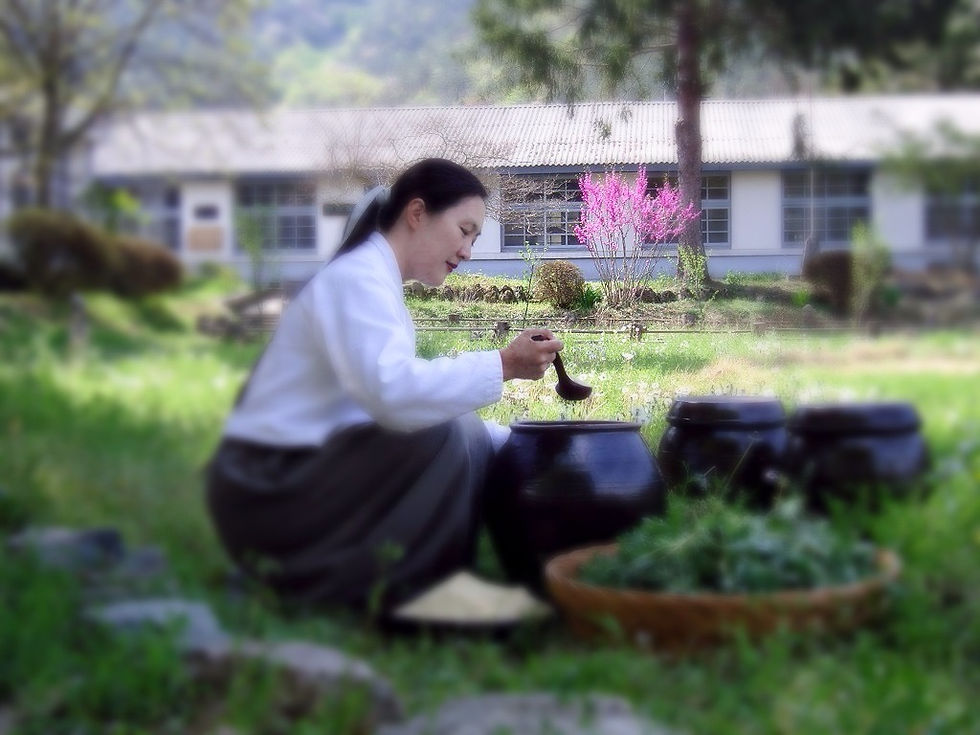 선교(仙敎) 교화선(敎化禪)_농선(農禪)