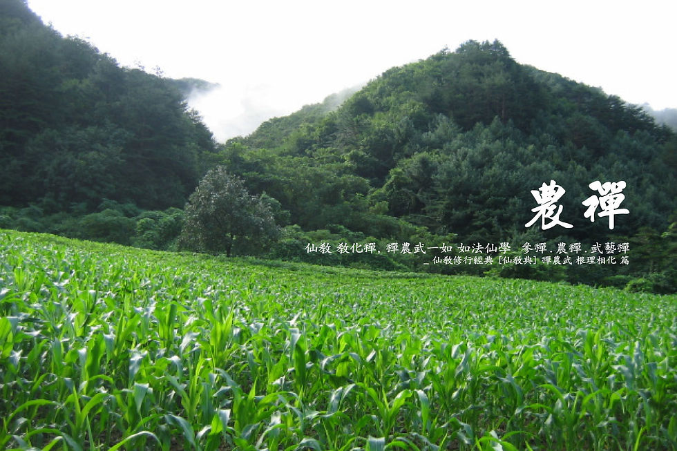 선교(仙敎) 교화선(敎化禪)_농선(農禪)