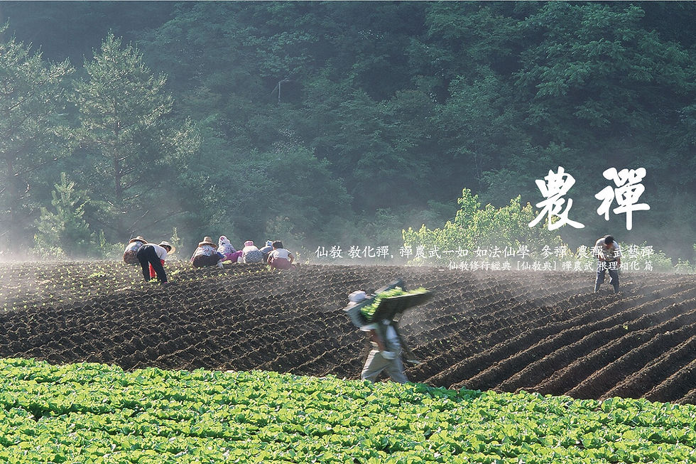 선교(仙敎) 교화선(敎化禪)_농선(農禪)