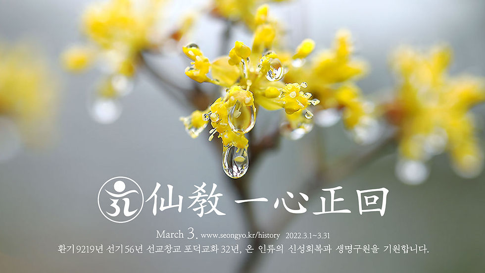 선교공지2022년3월-3-산수유-1.jpg