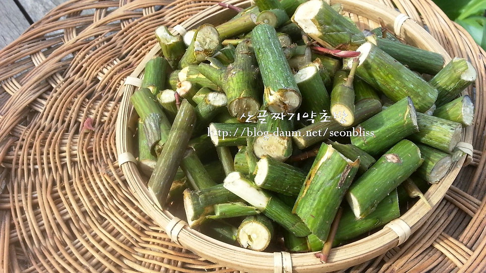 선교(仙敎) 교화선(敎化禪)_농선(農禪)
