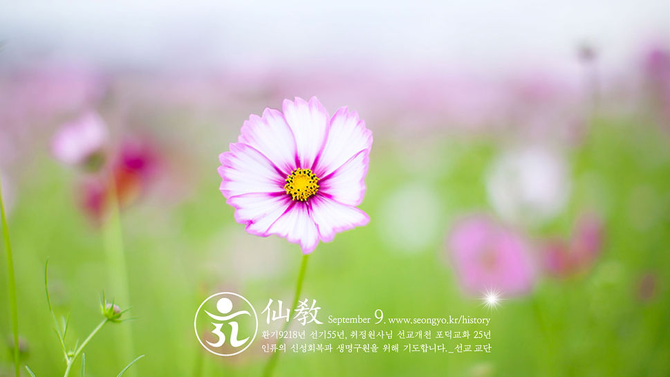 2021-선교공지-9월-2.jpg
