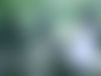 선교(仙敎), “산천법당 신단수 명상법회” 선교총림선림원 설립자 시정원주님 “전국 산천법당 신단수 명상법회” 집전