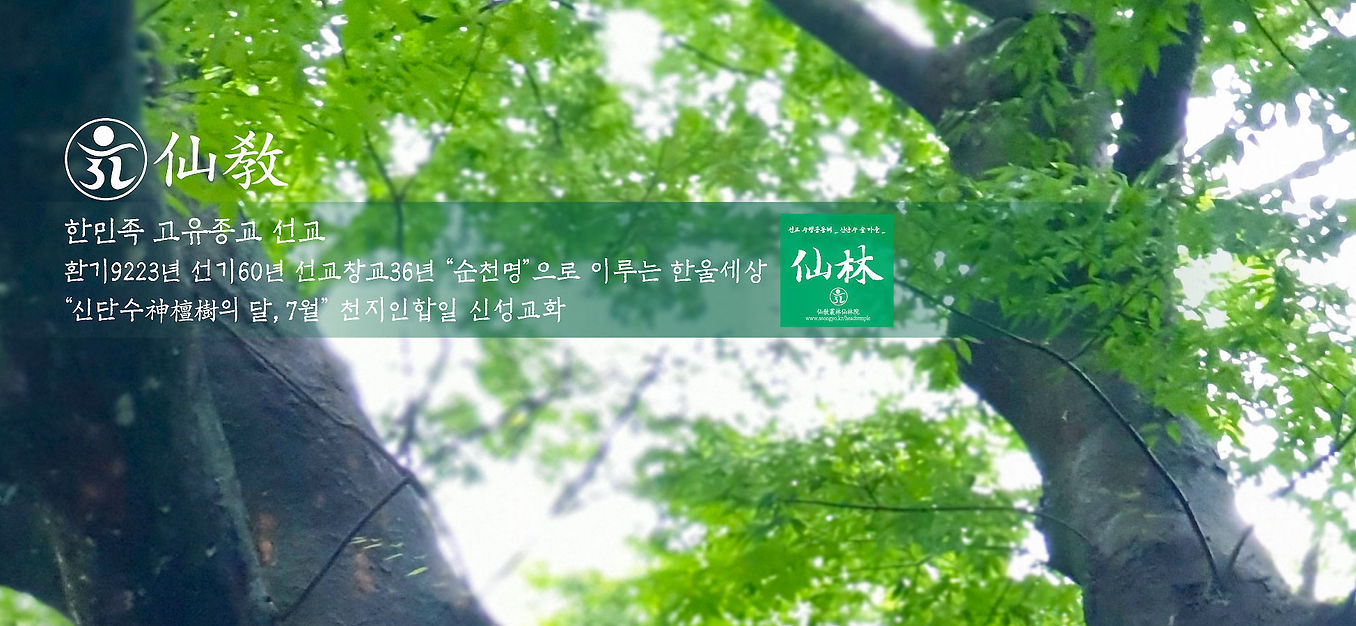 2026년-7월-신단수의-달-공지.jpg