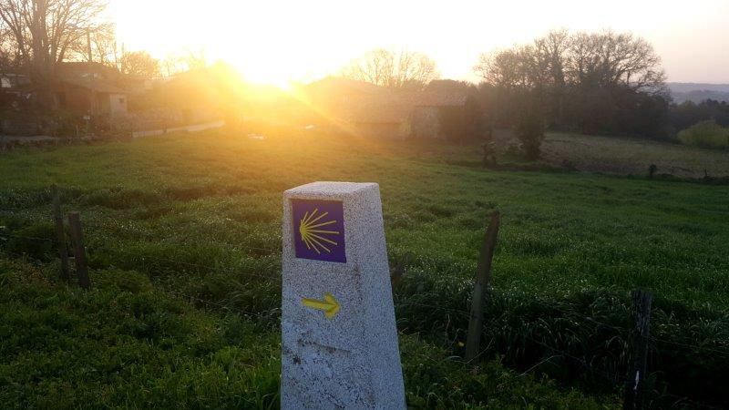 Camino de Santiago - Day 8
