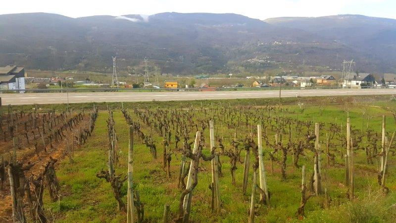 Camino de Santiago - Day 3