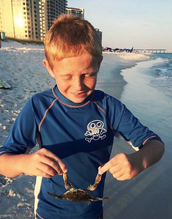 Crab catching!