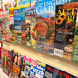 Magazines and Newspapers