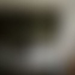 a cosy country kitchen with neural decor and the light coming in through the window