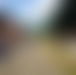 Hurley Village Shop & Cafe — a new village gem championing local producers