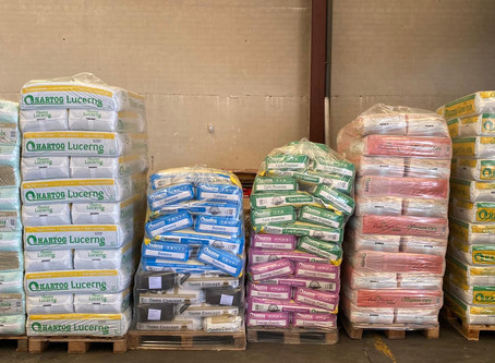 Los nuevos productos Alfava para alimentación equina.