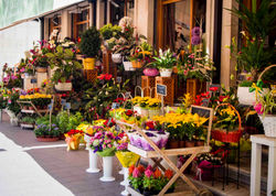 Floristerias-Santa-Clara