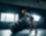 Your Trainining Timeline