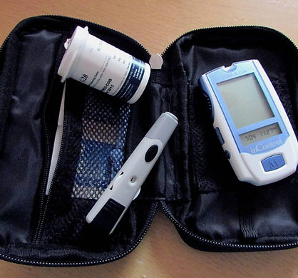 Início Formação monitorização contínua da glicose