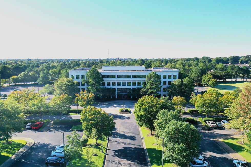 Lenox B_edited_edited.jpg