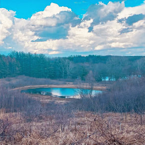 A MELTING POT IN THE HEARTLAND 