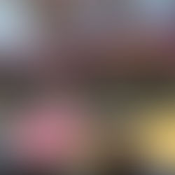 CCA VOLLEYBALL WENT TO THE STATE TOURNAMENT 