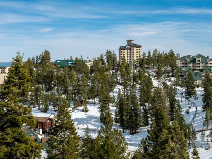 Thumbnail: Mountain resort with alpine architecture surrounded by pine trees and sweeping valley views.