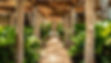 Vidanta Riviera Maya Entry Way.jpg