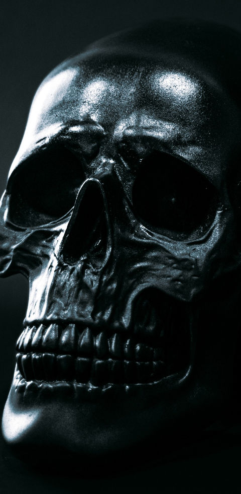 Skull Studio I Skull ii (1 von 1).jpg