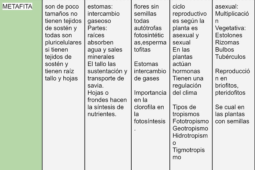 3034535D-6CEC-4E6B-9B8B-4DB9F0962CF8.jpe