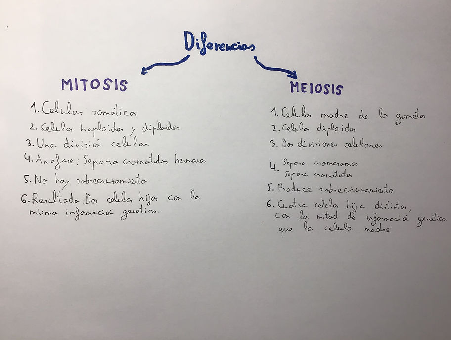 342B3E9D-9029-4779-B5BD-C130891CD5D2.jpe