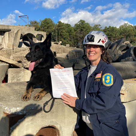 German Shepherd Dog ‘Flint’ Wins 2025 SAR Award for Canine Excellence in Disaster Response Category