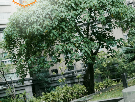 鄉社 - 海山神社