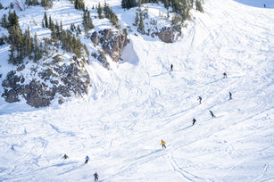 VL - 3  - Fresh Tracks - Mammoth - 2022 #1018.jpg