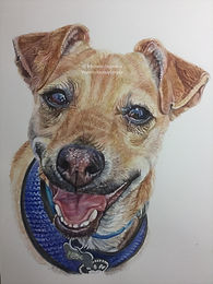 05B0CAF3-8AF3-4CAC-9E94-5347030A5D34.jpe