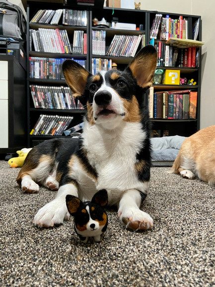 Leela and her Stubbin