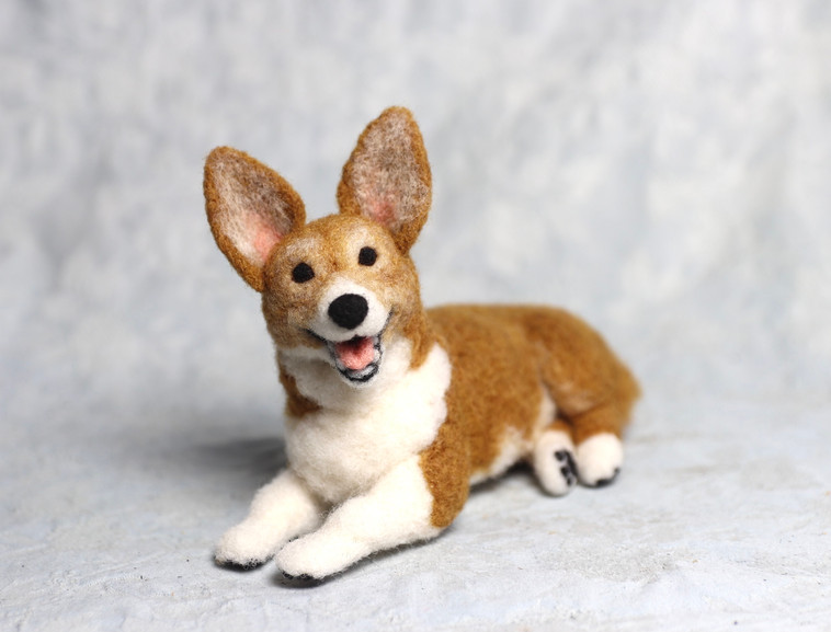 Ein over the Rainbow Bridge