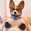 Thumbnail: Name Tag (collar sold separately)