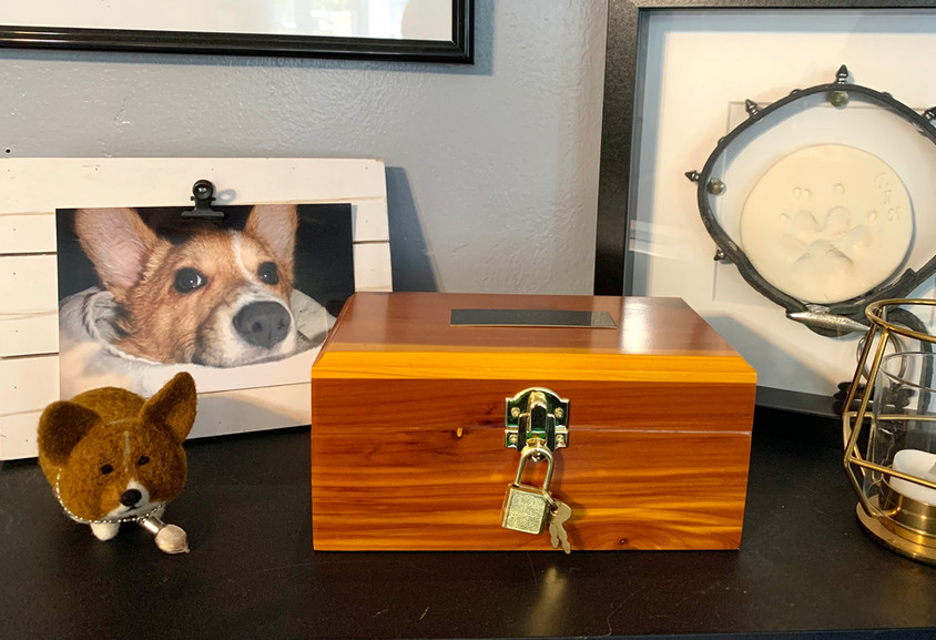 Ein “Colonel Piggins