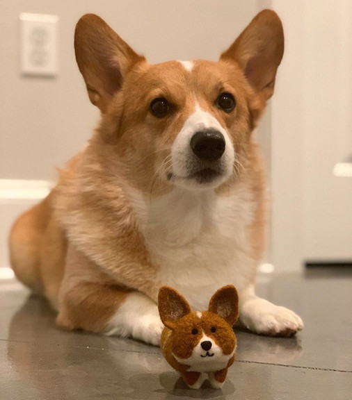 Boomer and his Stubbin