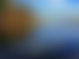 Thoughts on Thoreau: 
