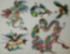 DRAGON