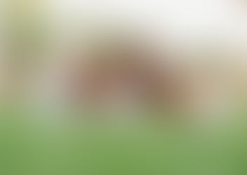 Christening at Out of the Blue, Capsis Elite Resort