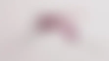 The moral mozzie minefield