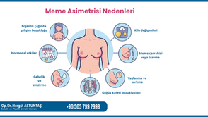 meme asimetrisi nedneleri 